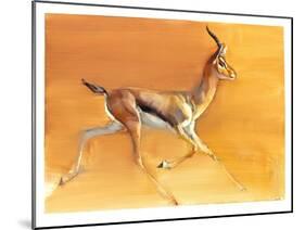 Arabian Gazelle, 2010-Mark Adlington-Mounted Giclee Print