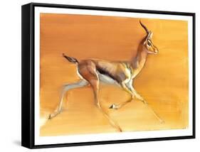 Arabian Gazelle, 2010-Mark Adlington-Framed Stretched Canvas