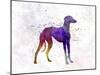Arabian Greyhound in Watercolor-paulrommer-Mounted Art Print