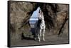 Arabian Horse and Lady Rider (Elicia) by Rock Archway at Edge of Surf, Northern California-Lynn M^ Stone-Framed Stretched Canvas