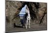 Arabian Horse and Lady Rider (Elicia) by Rock Archway at Edge of Surf, Northern California-Lynn M^ Stone-Mounted Photographic Print