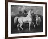 Arabian Horses, 19th Century-Eugene Fromentin-Framed Giclee Print