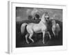 Arabian Horses, 19th Century-Eugene Fromentin-Framed Giclee Print