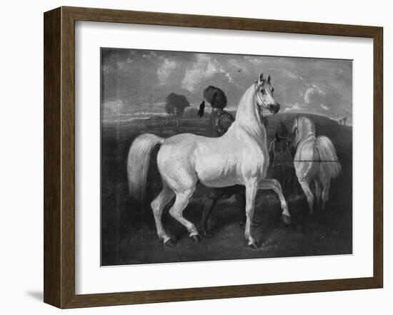 Arabian Horses, 19th Century-Eugene Fromentin-Framed Giclee Print