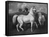 Arabian Horses, 19th Century-Eugene Fromentin-Framed Stretched Canvas