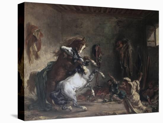 Arabian Horses Fighting in a Stable-Eugene Delacroix-Stretched Canvas