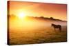 Arabian Horses Grazing on Pasture at Sundown in Orange Sunny Beams. Dramatic Foggy Scene. Carpathia-Leonid Tit-Stretched Canvas