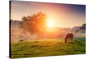 Arabian Horses Grazing on Pasture at Sundown in Orange Sunny Beams. Dramatic Foggy Scene. Carpathia-Leonid Tit-Stretched Canvas