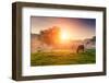 Arabian Horses Grazing on Pasture at Sundown in Orange Sunny Beams. Dramatic Foggy Scene. Carpathia-Leonid Tit-Framed Photographic Print