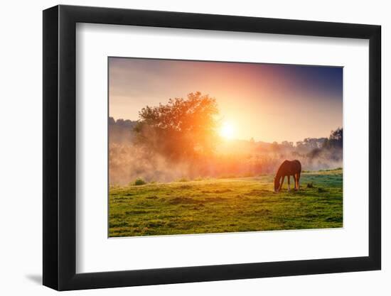 Arabian Horses Grazing on Pasture at Sundown in Orange Sunny Beams. Dramatic Foggy Scene. Carpathia-Leonid Tit-Framed Photographic Print