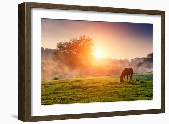 Arabian Horses Grazing on Pasture at Sundown in Orange Sunny Beams. Dramatic Foggy Scene. Carpathia-Leonid Tit-Framed Photographic Print