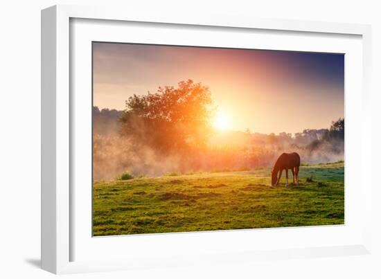 Arabian Horses Grazing on Pasture at Sundown in Orange Sunny Beams. Dramatic Foggy Scene. Carpathia-Leonid Tit-Framed Photographic Print