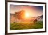 Arabian Horses Grazing on Pasture at Sundown in Orange Sunny Beams. Dramatic Foggy Scene. Carpathia-Leonid Tit-Framed Photographic Print