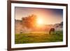 Arabian Horses Grazing on Pasture at Sundown in Orange Sunny Beams. Dramatic Foggy Scene. Carpathia-Leonid Tit-Framed Photographic Print