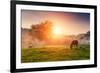 Arabian Horses Grazing on Pasture at Sundown in Orange Sunny Beams. Dramatic Foggy Scene. Carpathia-Leonid Tit-Framed Photographic Print