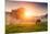 Arabian Horses Grazing on Pasture at Sundown in Orange Sunny Beams. Dramatic Foggy Scene. Carpathia-Leonid Tit-Mounted Photographic Print