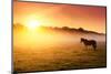 Arabian Horses Grazing on Pasture at Sundown in Orange Sunny Beams. Dramatic Foggy Scene. Carpathia-Leonid Tit-Mounted Photographic Print