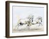 Arabian Knights-Richard Young-Framed Giclee Print