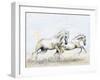 Arabian Knights-Richard Young-Framed Giclee Print