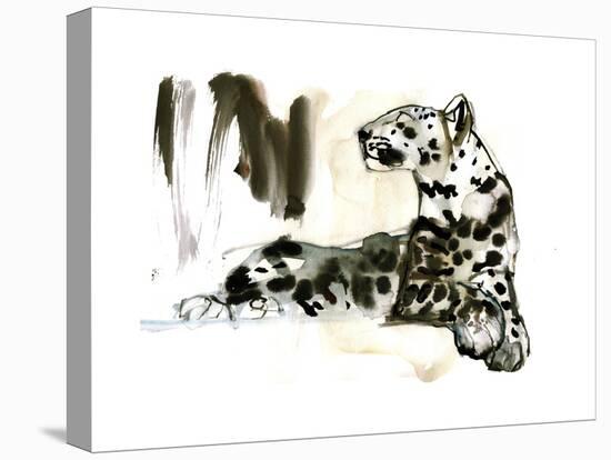 Arabian Leopard, 2008-Mark Adlington-Stretched Canvas