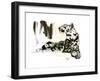 Arabian Leopard, 2008-Mark Adlington-Framed Giclee Print