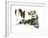 Arabian Leopard, 2008-Mark Adlington-Framed Giclee Print