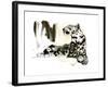 Arabian Leopard, 2008-Mark Adlington-Framed Giclee Print