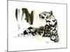 Arabian Leopard, 2008-Mark Adlington-Mounted Giclee Print