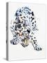 Arabian Leopard, 2008-Mark Adlington-Stretched Canvas