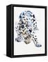 Arabian Leopard, 2008-Mark Adlington-Framed Stretched Canvas