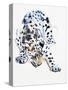 Arabian Leopard, 2008-Mark Adlington-Stretched Canvas