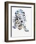 Arabian Leopard, 2008-Mark Adlington-Framed Giclee Print