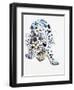 Arabian Leopard, 2008-Mark Adlington-Framed Giclee Print