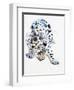 Arabian Leopard, 2008-Mark Adlington-Framed Giclee Print