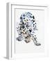 Arabian Leopard, 2008-Mark Adlington-Framed Giclee Print