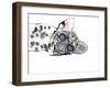 Arabian Leopard, 2008-Mark Adlington-Framed Giclee Print