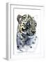 Arabian Leopard, 2008-Mark Adlington-Framed Giclee Print