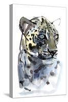 Arabian Leopard, 2008-Mark Adlington-Stretched Canvas