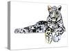 Arabian Leopard, 2008-Mark Adlington-Stretched Canvas