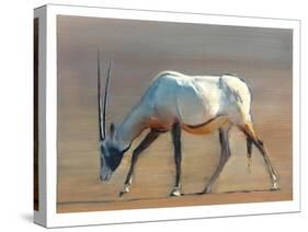 Arabian Oryx, 2010-Mark Adlington-Stretched Canvas