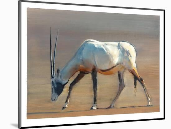 Arabian Oryx, 2010-Mark Adlington-Mounted Giclee Print