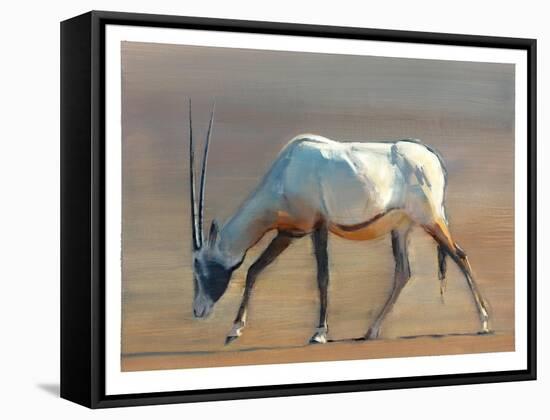 Arabian Oryx, 2010-Mark Adlington-Framed Stretched Canvas