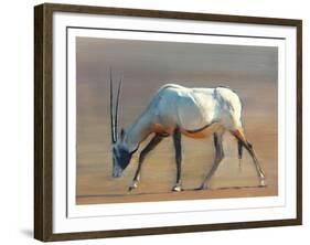 Arabian Oryx, 2010-Mark Adlington-Framed Giclee Print