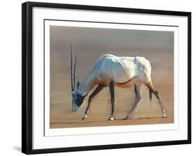 Arabian Oryx, 2010-Mark Adlington-Framed Giclee Print