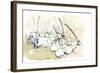 Arabian Oryx, 2010-Mark Adlington-Framed Giclee Print