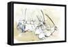 Arabian Oryx, 2010-Mark Adlington-Framed Stretched Canvas