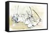 Arabian Oryx, 2010-Mark Adlington-Framed Stretched Canvas