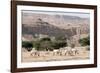 Arabian Oryx-Ake Lindau-Framed Photographic Print