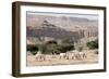 Arabian Oryx-Ake Lindau-Framed Photographic Print