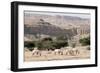 Arabian Oryx-Ake Lindau-Framed Photographic Print